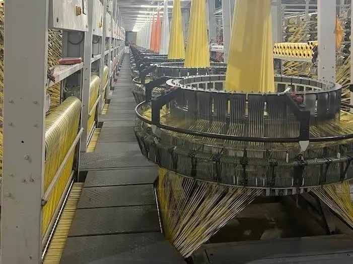 Rows of Lohia circular looms